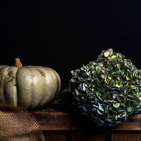 Nature morte avec citrouille et hortensia sur Beeldpracht by Maaike