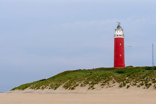 Eierland, vuurtoren van Texel