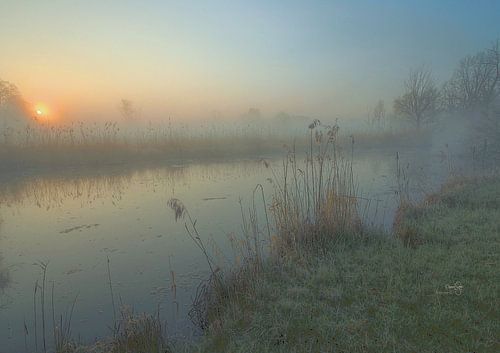 Sonnenaufgang über dem kleinen Altwasser
