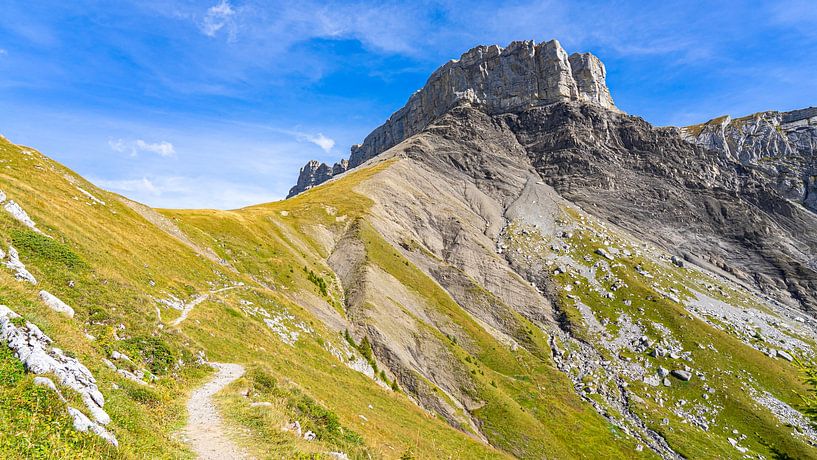 Besondere Felsen auf der Schynige Platte, Schweiz von Jessica Lokker