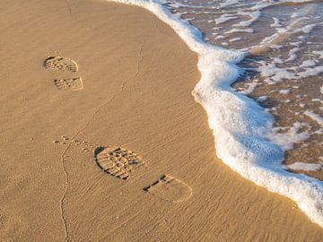 Footprints in the sand on the beach by Animaflora PicsStock