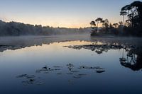Sonnenaufgang am Voorste Goorven (Oisterwijk)