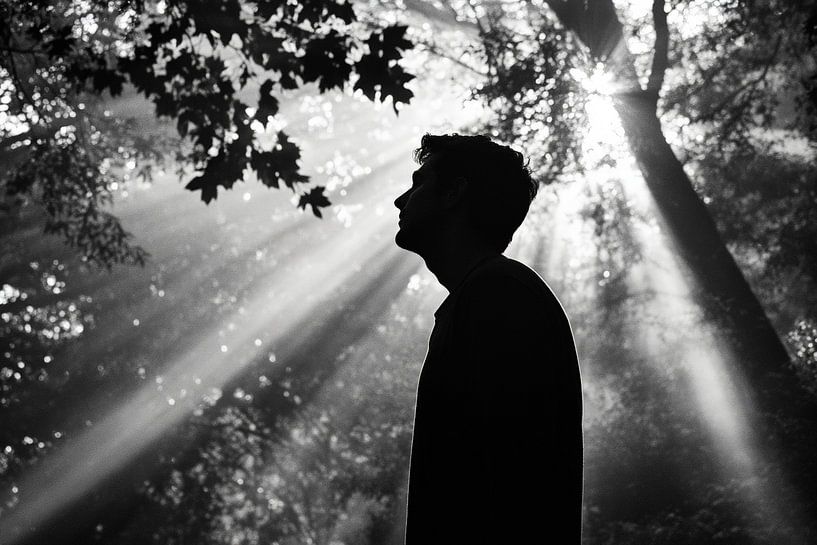 Light in the forest by Poster Art Shop