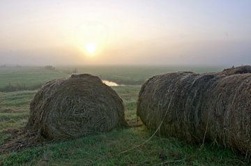 meules de foin dans le polder au lever du soleil brumeux