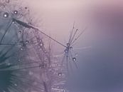 Dream world by Hilde Remerie Photography and digital art thumbnail