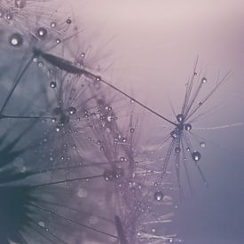 Traumwelt von Hilde Remerie Fotografie und digitale Kunst