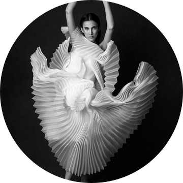 Het Zwanenmeer van Peyman Naderi