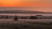 Brouillard au sol sur les Hautes Fagnes. par Koos SOHNS   (KoSoZu-Photography) Aperçu