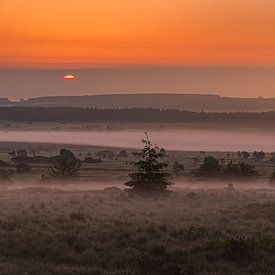 Grondmist bij zonsopkomst op de Hoge Venen, België. van Koos SOHNS   (KoSoZu-Photography)