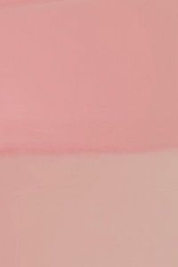 Wabi sabi in zartem Rosa