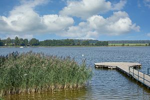 am Grossen Priepertsee,Mecklenburgische Seenplatte