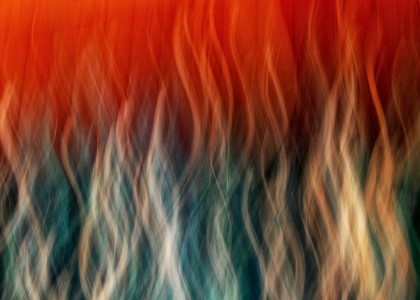 MOVING MOMENTS FIRE van Aad Holkamp