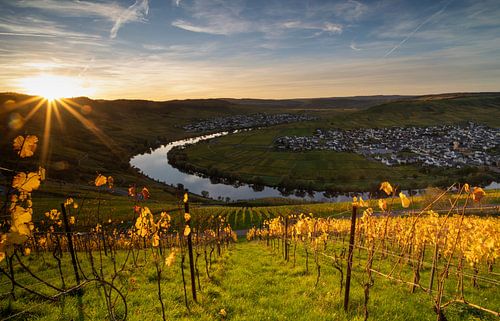 Moselle près de Leiwen sur Eddy Kievit