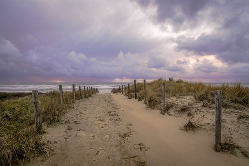 Avonden aan zee