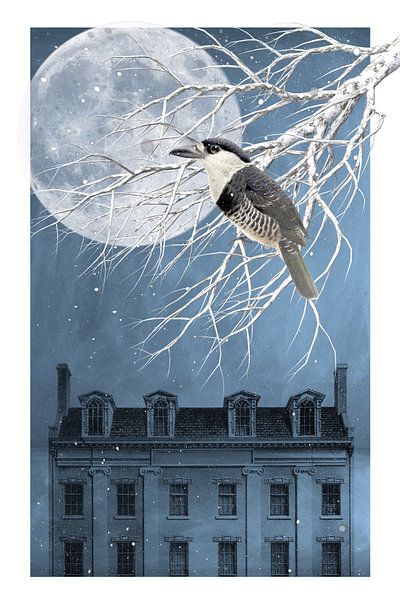 a Winter Wonderland by Marja van den Hurk