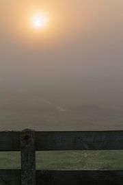 zonsopkomst mist in de polder von Menno van Duijn