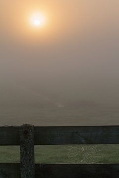 zonsopkomst mist in de polder van Menno van Duijn