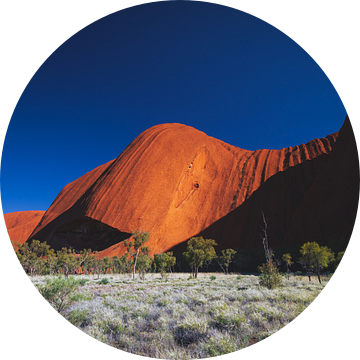 Uluru zonsopkomst II van Ronne Vinkx