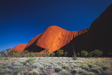 Sonnenaufgang am Uluru II von Ronne Vinkx