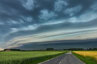 nuage d'étagères par Bart Harmsen Aperçu