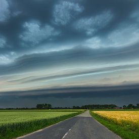 shelfcloud von Bart Harmsen