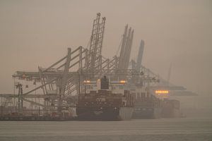 The Maasvlakte: A Modern Industrial Landscape
