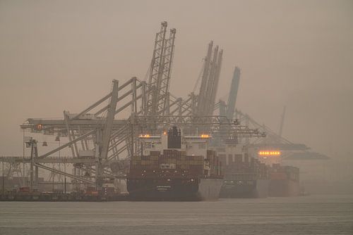 De Maasvlakte: Een modern industrieel landschap