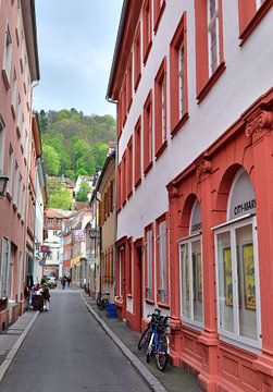 Heidelberg7