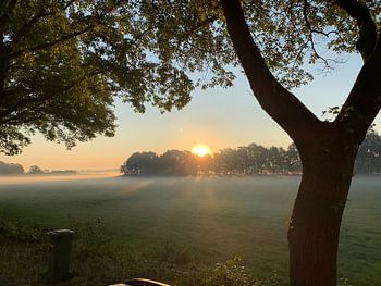 Sonnenaufgang Brabant.