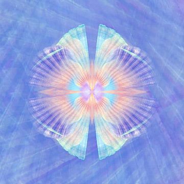 Ornament Muschel in Blau von Claudia Gründler