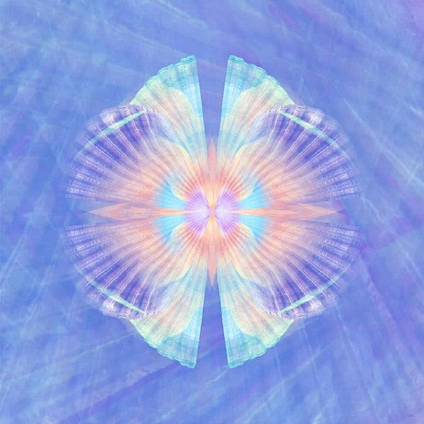 Ornament Muschel in Blau von Claudia Gründler