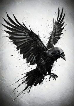 Echo's van de raaf van Fabio Luxia