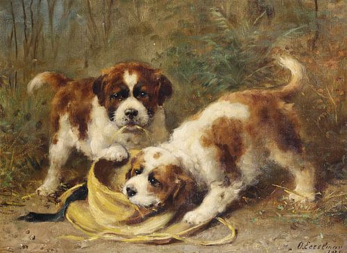 Two Saint-Bernard puppies playing with a hat