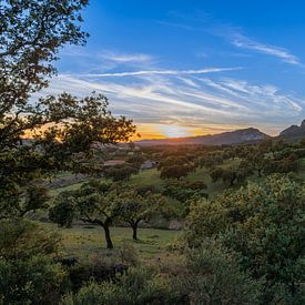 Sunset in Monfrague National Park by Lex van Doorn