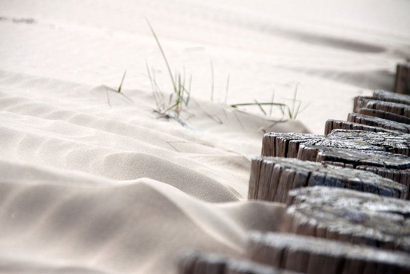just a little beach van Nienke Stegeman