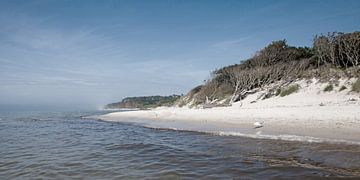 Baltic Sea: Darß - West Beach by t.ART