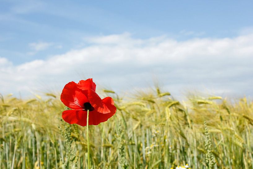 All alone by Ostsee Bilder