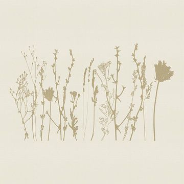 Subtiele bloemen in beige op crème van Dina Dankers