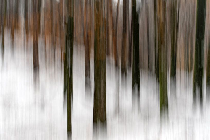 Forêt de hêtres abstraite dans la neige. par Albert Beukhof