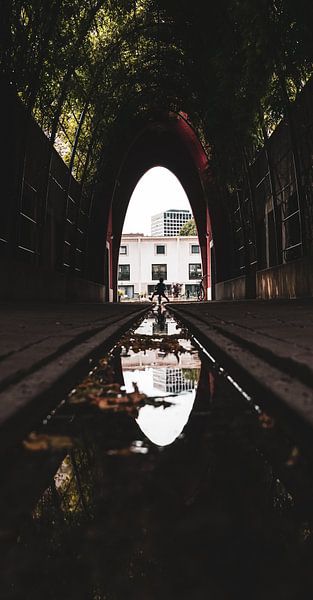 réflexion de Le Medi par Studio Nieuwland