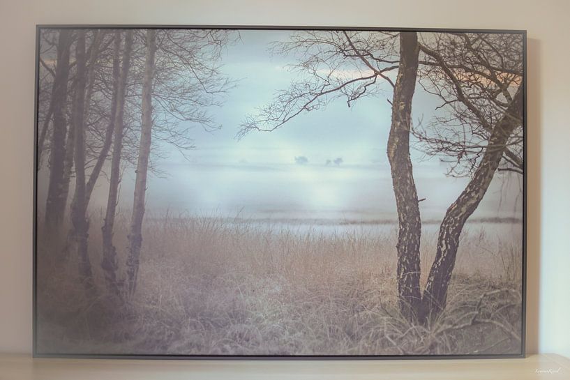 Dreams are not a deception. by Leny van Kessel