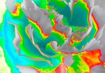 Je raakt niet uitgekeken op deze abstracte wirwar met felle kleuren van Jolanda de Jong-Jansen