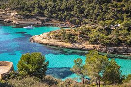 Cala Portals Vells, Mallorca