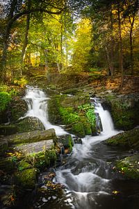 Wasserfall im harz