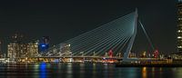 Erasmusbrug panorama