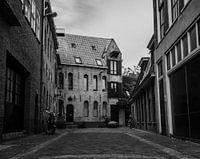 Vishoek Groningen