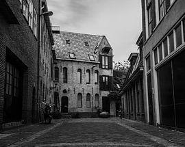 Vishoek Groningen van Daniel Houben