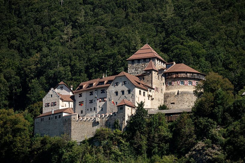 Vaduz Liechtenstein Vaduz castle van Richard Wareham