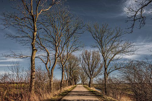 Werpsterwei between Baaium and Wjelsryp in Friesland by Harrie Muis