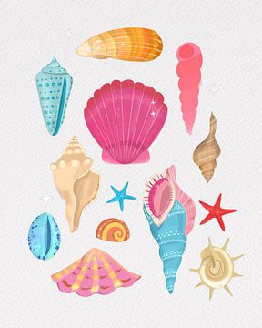 Seashells by Petra Lizde